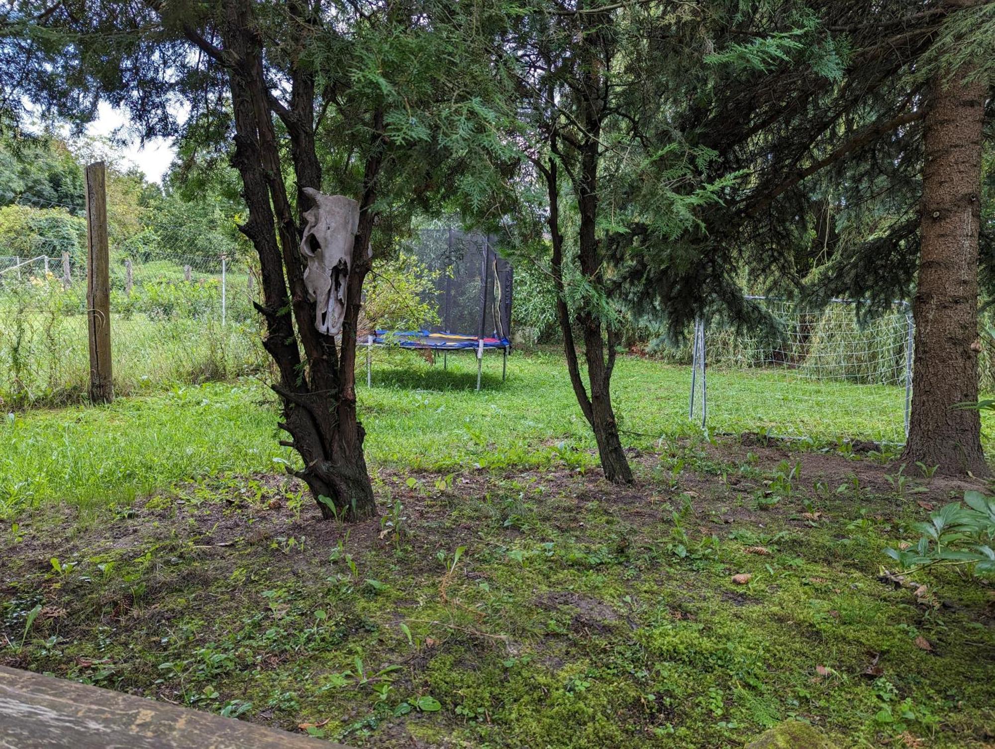 Lóci Palócház Vila Nagyloc Exterior foto